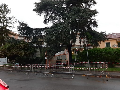 Savona, sfondato il tetto della fermata dell'autobus in Largo Tissoni: transennata l'area