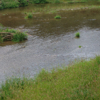 Tutela e sicurezza di torrenti e fiumi, le associazioni ambientaliste: "Giusta l’impugnazione alla Corte Costituzionale della Legge regionale ligure”