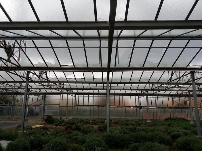 Cia Liguria” Non pagheremo l’IMU il 26 gennaio: pronti alla mobilitazione della categoria”