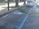 Vento e punteruolo rosso: Pietra Ligure mette in sicurezza le palme malate