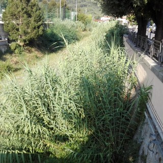 Finale, stanziati 180 mila euro in tre anni per la pulizia dei fiumi Finale, stanziati 180 mila euro in tre anni per la pulizia dei fiumi