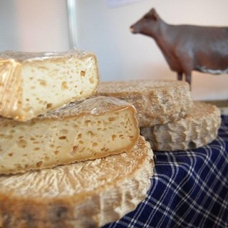 Successo dello stand ligure a Cheese, quattro giorni di promozione dei prodotti tipici del territorio