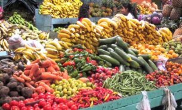 Ladri in azione dal fruttivendolo di via Monti a Savona