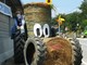 Festa dell'Agricoltore a Plodio: tutto il paese addobbato ad hoc (FOTO)