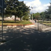 Savona, al via la rimozione di 144 resti di alberi mai eliminati: dopo i lavori nuove piantumazioni