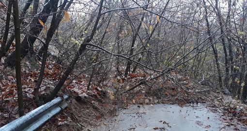 Giusvalla, frana lungo la strada comunale Colla-Rapetti (FOTO) Giusvalla, frana lungo la strada comunale Colla-Rapetti (FOTO)