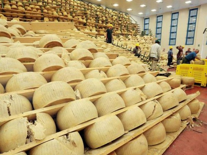 Forme di Parmigiano danneggiate dal sisma. Foto Ansa Forme di Parmigiano danneggiate dal sisma. Foto Ansa