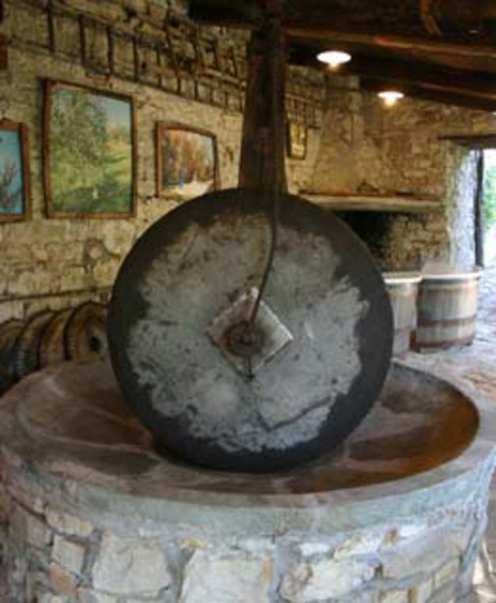 Fuori l’olivicoltura italiana dalle secche della retorica