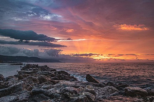 Foto Andrea Bolla Foto Andrea Bolla