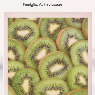 FRUTTINFIORE: sabato 1 aprile workshop BioDea a Lagnasco