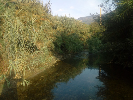Savona in allerta arancione: "Quando lo Stato appare solo per punire" Savona in allerta arancione: "Quando lo Stato appare solo per punire"