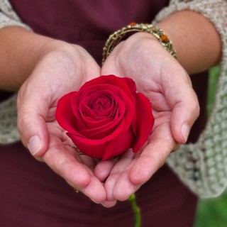 Un fiore in ricordo delle mamme che non ci sono più Un fiore in ricordo delle mamme che non ci sono più