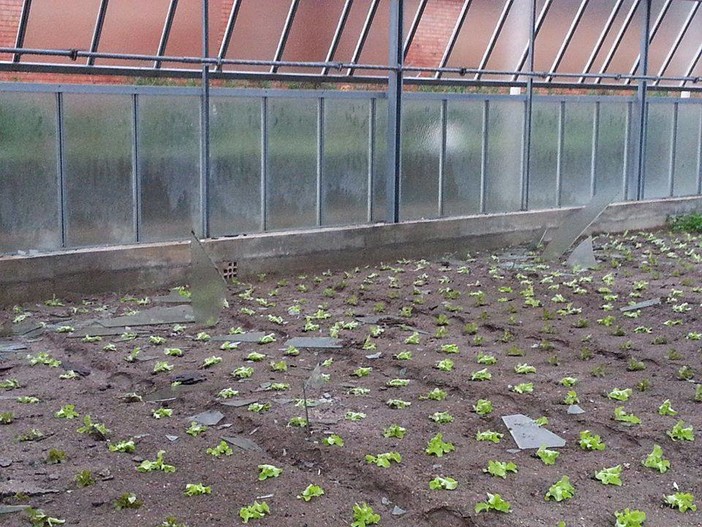 Maltempo: la devastazione della piana di Albenga a "Striscia la notizia"