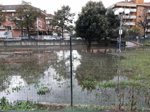 Albenga, salta un tombino e i liquami inondano l'area cani (FOTO)