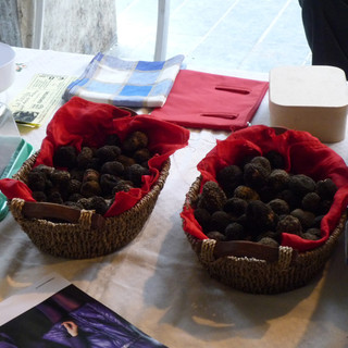 Savona: torna nel prossimo weekend "Paesi e Sapori", dedicata al tartufo