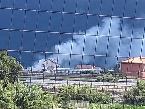 Falò nei campi ad Albenga, la lamentela di alcuni cittadini: "In alcune giornate siamo costretti a tenere le finestre chiuse" Falò nei campi ad Albenga, la lamentela di alcuni cittadini: "In alcune giornate siamo costretti a tenere le finestre chiuse"
