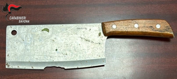 Albenga, lite tra fratelli finisce nel sangue: uno dei due ferito a colpi di mannaia, arrestato un 21enne Albenga, lite tra fratelli finisce nel sangue: uno dei due ferito a colpi di mannaia, arrestato un 21enne