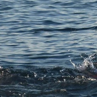 Albissola Marina celebra i "Campioni al quadrato"