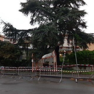 Savona, sfondato il tetto della fermata dell'autobus in Largo Tissoni: transennata l'area