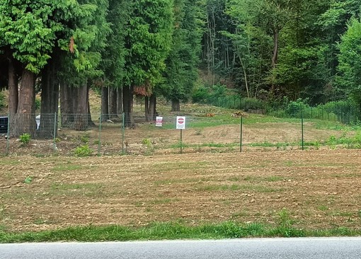 Altare, fonte del Lupo chiusa: la consigliera Scotti interroga il sindaco Altare, fonte del Lupo chiusa: la consigliera Scotti interroga il sindaco