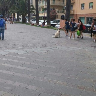 Bivacchi di turisti domenica nelle aiuole di Finale , Lega:"Più concretezza e meno chiacchiere dall'amministrazione"