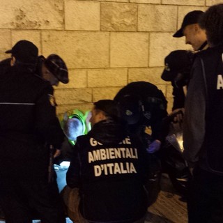 Albenga, corso di formazione per diventare guardia ambientale-zoofila: via alle iscrizioni