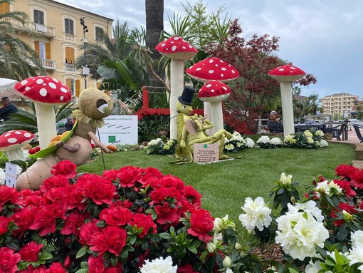 Fior d'Albenga continua: le aiuole rimarranno allestite fino all'11 maggio