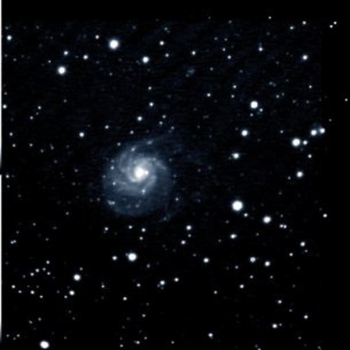 Savona: l'arte e l'astronomia si incontrano al Top Bar Savona: l'arte e l'astronomia si incontrano al Top Bar