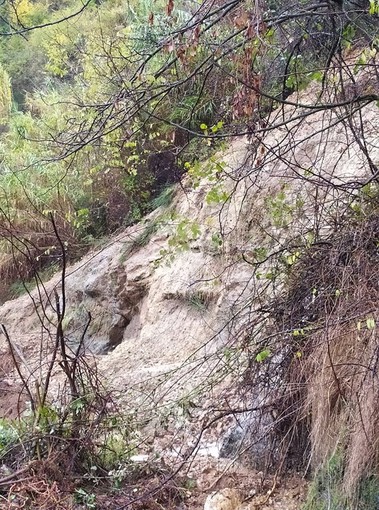 Savona, frana a Montemoro, l'allarme dei residenti: "Siamo isolati e non viene nessuno" Savona, frana a Montemoro, l'allarme dei residenti: "Siamo isolati e non viene nessuno"