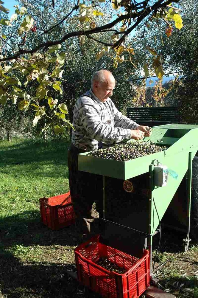 Nel fine settimana Fattorie Didattiche aperte in tutta la Liguria