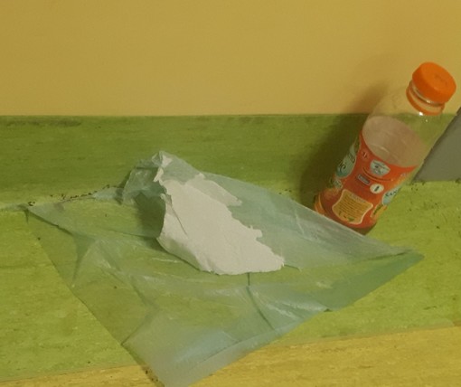 Pietra: formiche al pronto soccorso (FOTO) Pietra: formiche al pronto soccorso (FOTO)