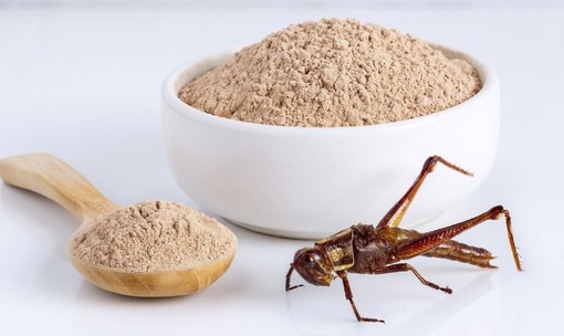 Foto Facebook - Stefano Momentè Foto Facebook - Stefano Momentè