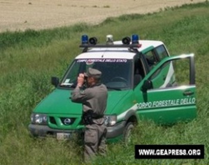 Corpo Forestale dello Stato? Abolito per legge