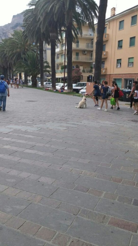 Bivacchi di turisti domenica nelle aiuole di Finale , Lega:"Più concretezza e meno chiacchiere dall'amministrazione"