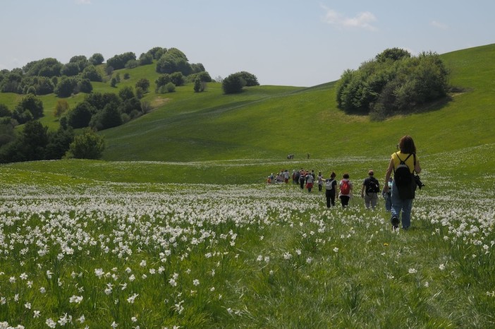 Comincia il 25 aprile il “Maggio dei Parchi” in Liguria Comincia il 25 aprile il “Maggio dei Parchi” in Liguria