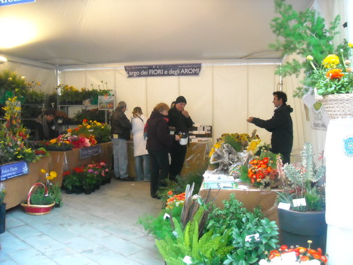 immagine di repertorio immagine di repertorio