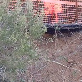 Frana a Montemoro in località Fornace: alcune case isolate