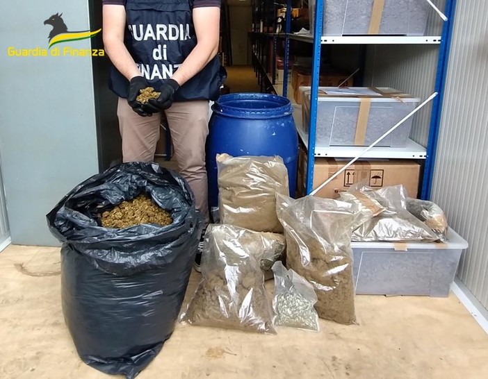 Blitz della Finanza, scoperto laboratorio per la produzione di hashish e marijuana: 4 arresti e 180 kg di droga sequestrati Blitz della Finanza, scoperto laboratorio per la produzione di hashish e marijuana: 4 arresti e 180 kg di droga sequestrati