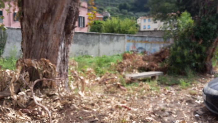 Finale Ligure: fuori dal Borgo verde "selvaggio" e abbandono indisciplinato di rifiuti