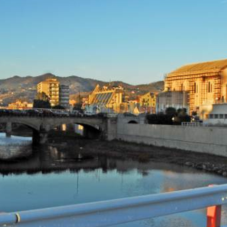 Pulizia del Letimbro: "Avete contattato la Protezione Animali?"