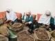 Foto fonte fondazione Slow Food