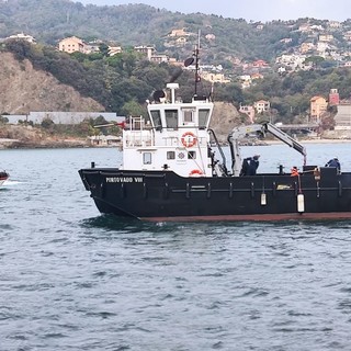 Savona, sversamento in mare di prodotto inquinante: è un’esercitazione antinquinamento della Capitaneria di porto Savona, sversamento in mare di prodotto inquinante: è un’esercitazione antinquinamento della Capitaneria di porto