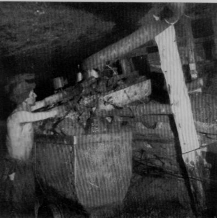 Un nostro Lettore risponde a Ditullio, "con grande tristezza e dolore"