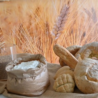 Alluvione Emilia Romagna, Coldiretti/Cai: "Persi raccolti per 200 mln di kg di pane" Alluvione Emilia Romagna, Coldiretti/Cai: "Persi raccolti per 200 mln di kg di pane"