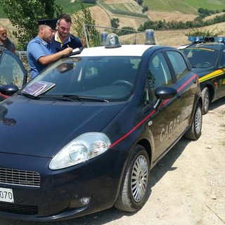 Albenga: sabato prossimo la 9° giornata di raccolta alimentare per animali Albenga: sabato prossimo la 9° giornata di raccolta alimentare per animali