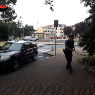 Immagine di repertorio