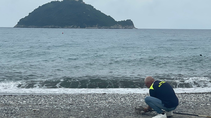 Dalle Guardie Zoofile Gadit le indicazioni per segnalare situazioni di pericolo per animali