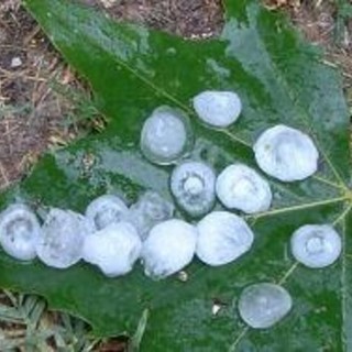 Immagine di repertorio