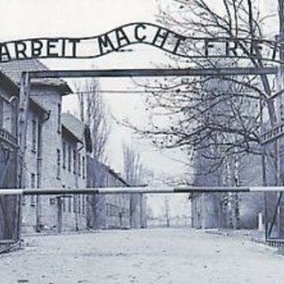 "Mancata celebrazione" del Giorno della Memoria in una scuola di Albenga: le ragioni del "Prof" "Mancata celebrazione" del Giorno della Memoria in una scuola di Albenga: le ragioni del "Prof"