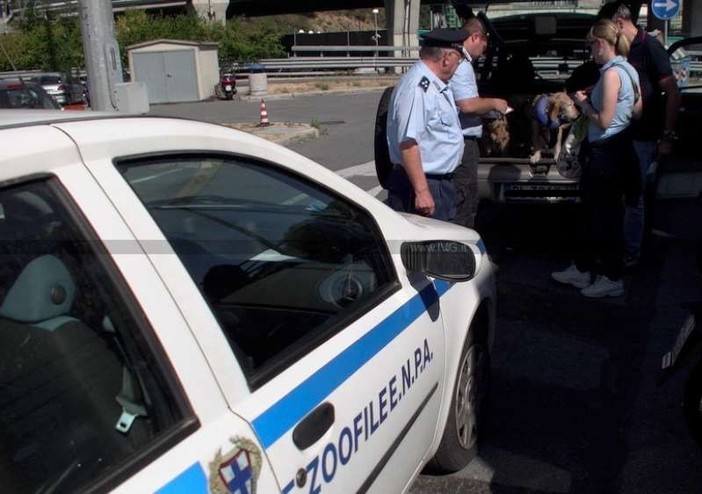 Abbandono di cani e gatti, in calo nel savonese da 20 anni: aumentano le rinunce e le consegne ai canili Abbandono di cani e gatti, in calo nel savonese da 20 anni: aumentano le rinunce e le consegne ai canili